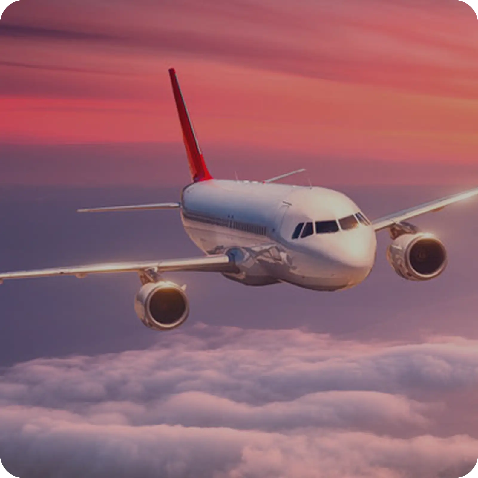 TRAVEL & LOGISTICS